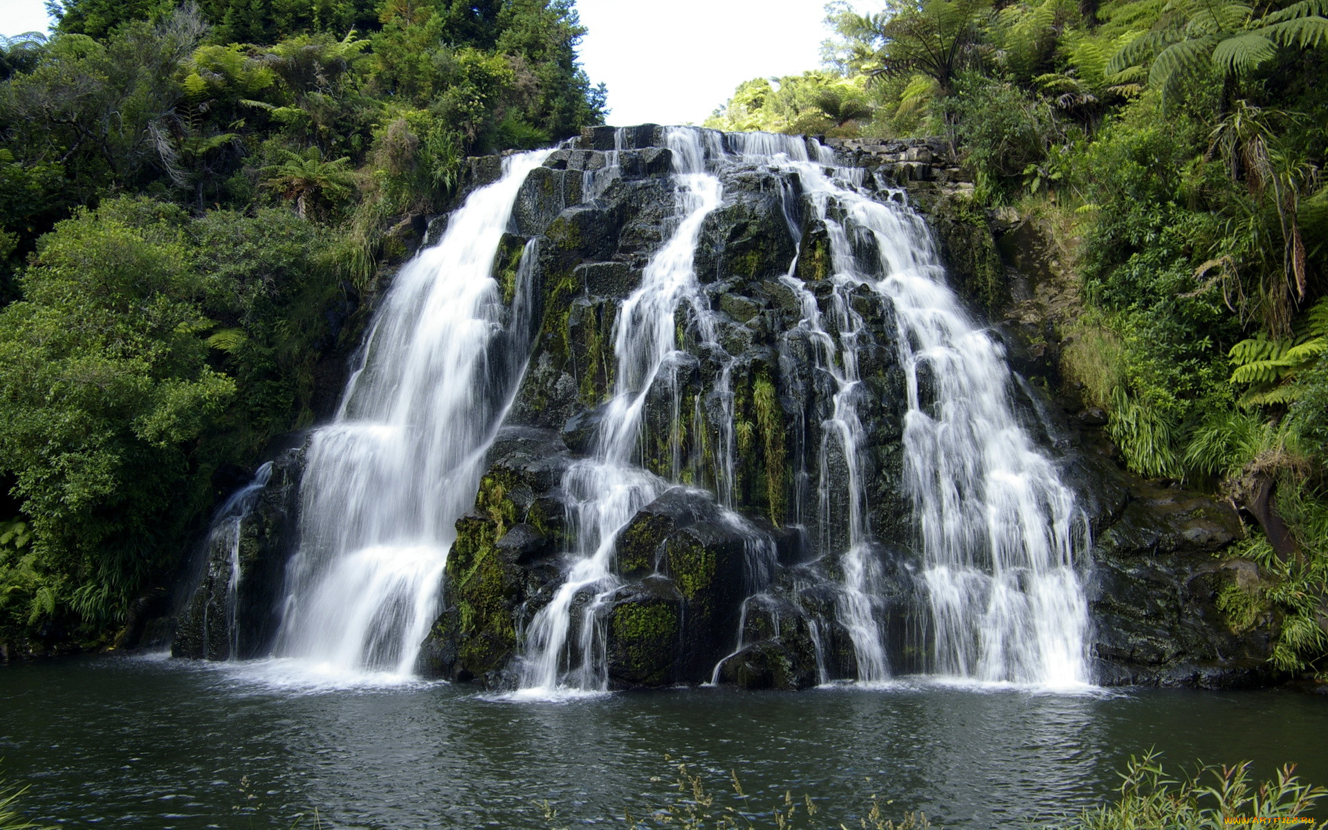 , , cascada, owharoa, , 